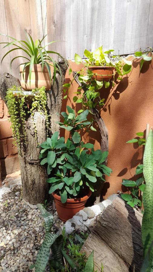 Casa Aldairis Hotel Mazunte Buitenkant foto